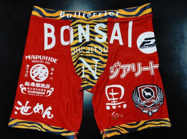 Photo8: Custom Spats (8)