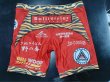 Photo9: Custom Spats (9)