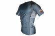 Photo2: BULL TERRIER Rash Guard TRADITIONAL Short Sleeve Steel (2)