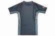 Photo4: BULL TERRIER Rash Guard TRADITIONAL Short Sleeve Steel (4)
