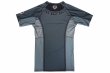 Photo5: BULL TERRIER Rash Guard TRADITIONAL Short Sleeve Steel (5)