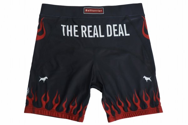 Photo5: BULL TERRIER Spats FIRE Black (5)