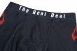 Photo6: BULL TERRIER Spats FIRE Black (6)
