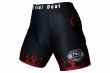 Photo2: BULL TERRIER Spats FIRE Black (2)