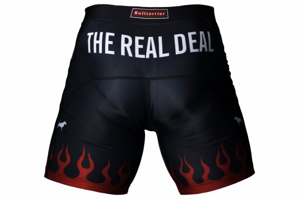 Photo3: BULL TERRIER Spats FIRE Black (3)