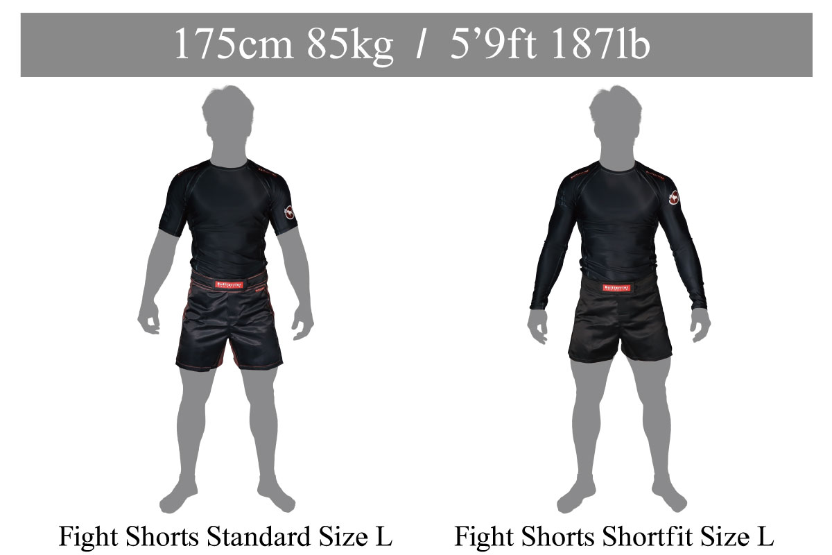 Bull Terrier Fight Shorts Size Guide height175cm weight85kg