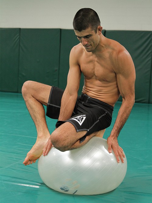 Gracie JiuJitsu Fight Short Black Fighters Shop Bull